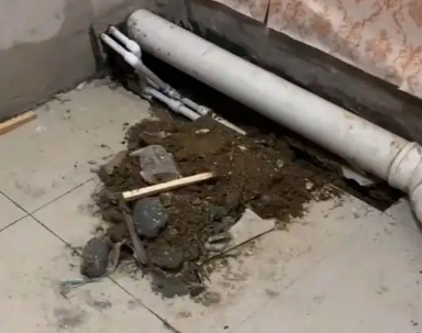 仁化卫生间漏水检测哪家好
